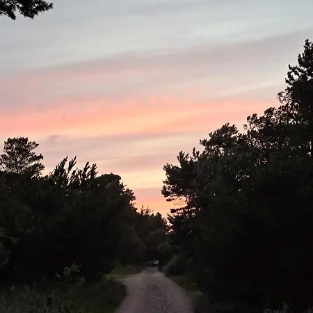 Modern House - By Traum Nyaraló